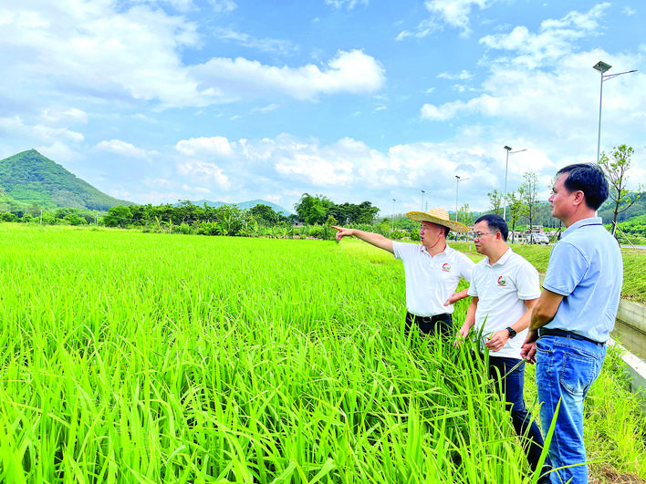 0e8a19c9-198d-42ce-81d2-65e64873cf7f.jpg